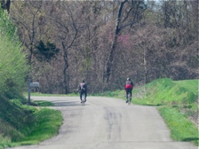 Rotary International Theme